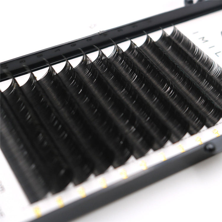 Elllipse flat individual lashes extensions vendor - A